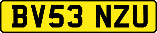 BV53NZU