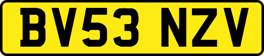 BV53NZV