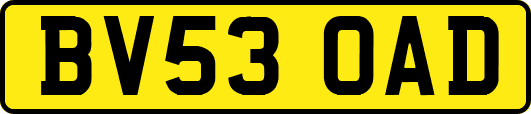 BV53OAD