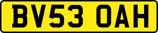 BV53OAH