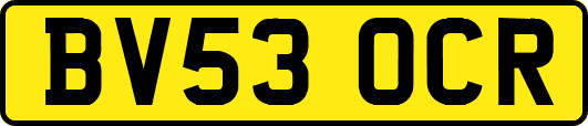 BV53OCR
