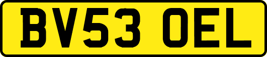 BV53OEL