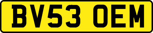 BV53OEM