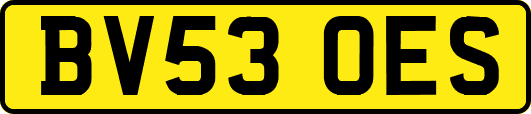 BV53OES