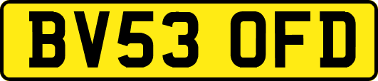 BV53OFD