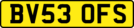 BV53OFS