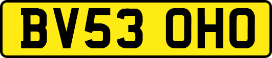 BV53OHO