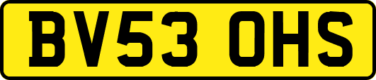 BV53OHS