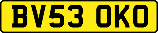 BV53OKO