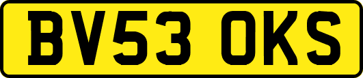 BV53OKS