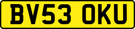 BV53OKU