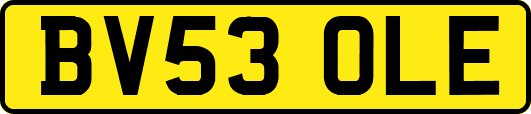 BV53OLE