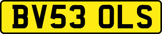 BV53OLS