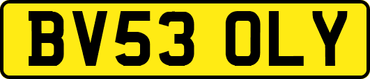 BV53OLY