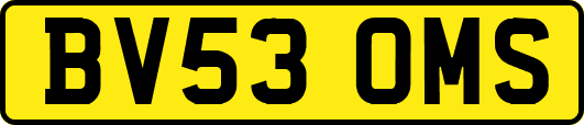 BV53OMS
