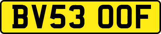 BV53OOF