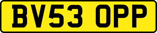 BV53OPP