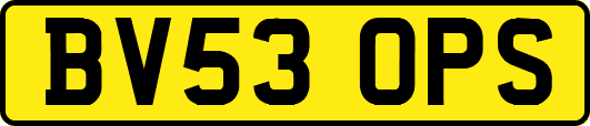 BV53OPS
