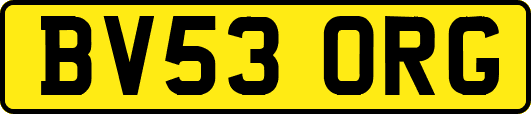 BV53ORG