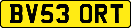 BV53ORT