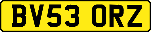 BV53ORZ