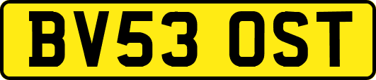 BV53OST