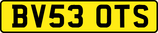 BV53OTS
