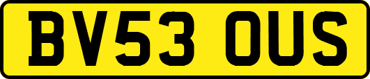 BV53OUS