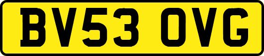 BV53OVG