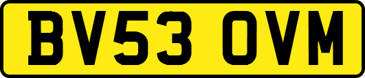 BV53OVM