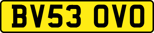 BV53OVO