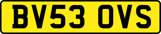BV53OVS