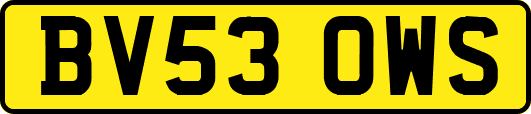 BV53OWS