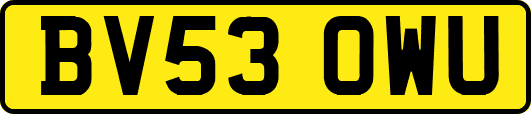 BV53OWU