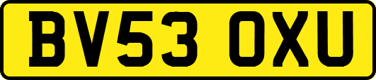 BV53OXU