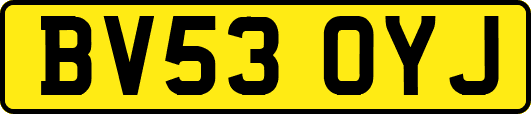 BV53OYJ