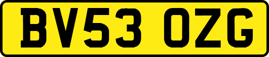 BV53OZG