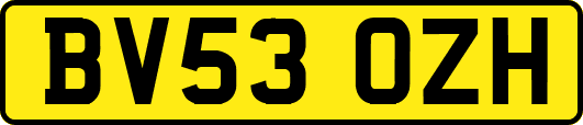 BV53OZH