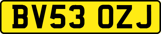 BV53OZJ