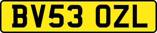 BV53OZL