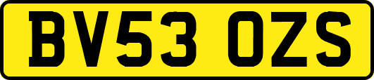 BV53OZS