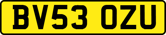 BV53OZU