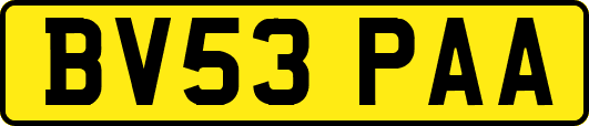 BV53PAA