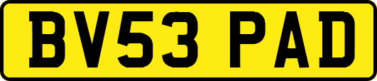 BV53PAD