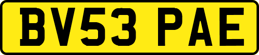 BV53PAE