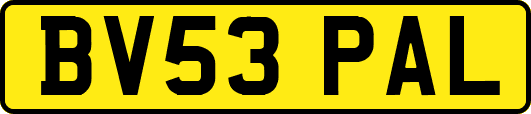 BV53PAL