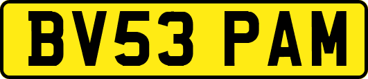 BV53PAM