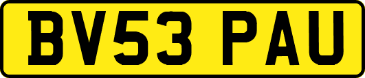 BV53PAU