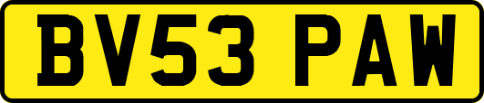 BV53PAW