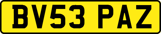 BV53PAZ